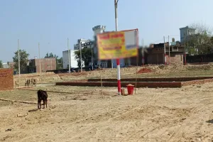 बदायूं: तो राजस्व अधिकारियों के आगे इतना लाचार क्यों हुआ लोक निर्माण विभाग...