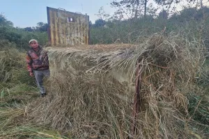 Tiger in Rehmankheda : ग्रामीण सुन रहे बाघ की दहाड़, 60 गांवों में दहशत बरकरार