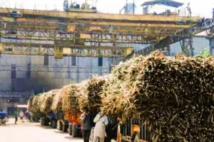 Bareilly: सेमीखेड़ा किसान सहकारी मिल का आय-व्यय और चीनी बेचने का रिकार्ड तलब