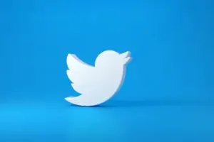  ट्विटर के बाद अब बिका नीली चिड़िया वाला Logo, जानें क्या रहा दाम 