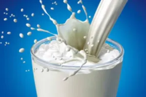  Milk Price Hike: इस राज्य में सीधे 4 रुपए महंगा हुआ दूध, क्या है नए रेट 