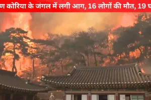 दक्षिण कोरिया के जंगल में आग लगने से कम से कम 16 लोगों की मौत, 19 घायल 