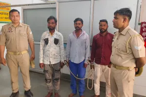 संभल : डेढ़ लाख की चोरी में मध्य प्रदेश के तीन घुमंतू गिरफ्तार