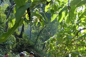 काठगोदाम में कंकाल, कॉल आई लेकिन पहचान नहीं मिली   