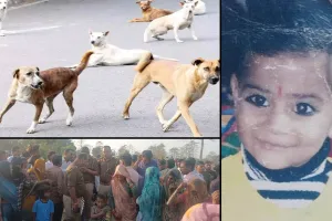 कासगंज : आवारा कुत्तों ने छह साल की अबोध बालिका को बनाया शिकार, मौत