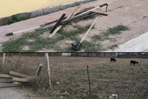 पीलीभीत: प्लाट पर कब्जे के विवाद में भिड़े दो पक्ष, पुलिस वाले डंडे से किए वार...तूदाबंदी भी उखाड़ी