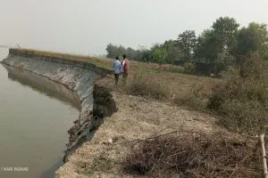 अयोध्या: डूबने की कागर पर मदराही गांव, अब सरयू नदी से बचा है महज 10 मीटर का फासला, अफसर तो दूर लेखपाल ने भी नहीं ली सुध