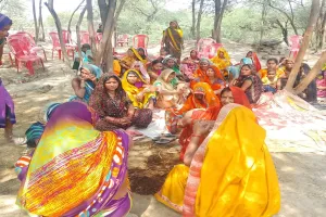 अमेठी: मधुमक्खियां के हमले से एक की मौत, दो घायल