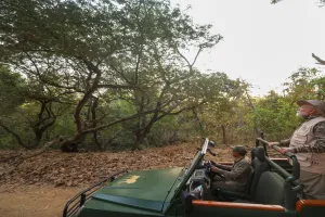 World Wildlife Day: पीएम मोदी ने गिर में जंगल सफारी का लिया आनंद, एशियाई शेरों के आवास के संरक्षण पर आदिवासियों को सराहा