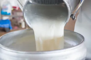 सरकार ने दूध उत्पादन बढ़ाने की दो योजनाओं के लिए परिव्यय बढ़ाकर किया 6,190 करोड़ रुपये 