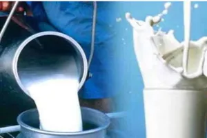 Milk Price Hike: इस राज्य में एक अप्रैल से दूध 4 रुपये प्रति लीटर होगा महंगा, जानें नया रेट 