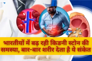 भारतीयों में बढ़ रही किडनी स्टोन की समस्या, बार-बार शरीर देता है ये संकेत  