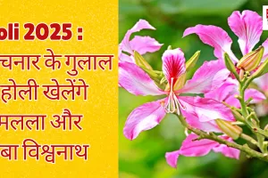 Holi 2025 : कचनार के गुलाल से होली खेलेंगे रामलला और बाबा विश्वनाथ, CSIR-NBRI ने फूलों से तैयार किया हर्बल गुलाल