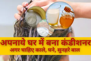 LifeStyle News:अपनाये घर में बना कंडीशनर, अगर चाहिए काले, घने, सुनहरे बाल 