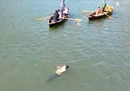 यूपी के युवकों को स्टंट करना पड़ा भारी      