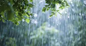 पहाड़ों में फाल्गुन में सावन जैसी हुई बारिश, साल 2022 की आई याद 