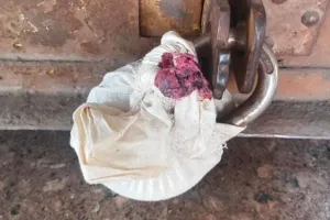 कानपुर में नगर निगम ने की बड़ी कार्रवाई; नवीन मार्केट की नौ दुकानों को किया सीज, नोटिस के बाद भी बकाया नहीं जमा कर रहे थे...