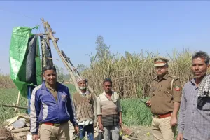 पीलीभीत: नेपाली हाथियों ने फिर मचाया उत्पात, फसलों के साथ झोपड़ी और मचान उजाड़ी