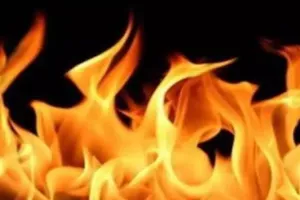 Firozabad fire incident : सिल्वर पाउडर फैक्ट्री में लगी भीषण आग, दमकल की पांच गाड़ियों ने पाया काबू