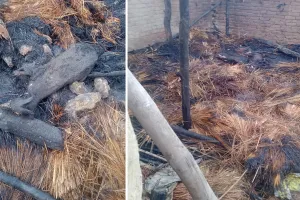 लखीमपुर खीरी: घर में आग का तांडव...15 बकरियां जिंदा जलीं और दो लोग झुलसे