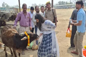  होली 2025 :  CDO ने  गौ पूजन कर मनाई होली, बोलीं- बेजुबानों की देखभाल में न हो कोई कमी