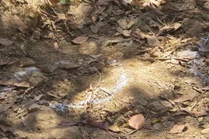 मलिहाबाद महिला हत्याकांड : भाई से फोन पर बात कर चिल्लाती रही महिला, सूचना के बाद भी पुलिस ने नहीं दिखायी सक्रियता