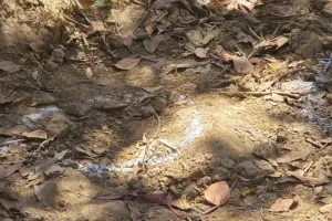 मलिहाबाद महिला हत्याकांड: आरोपियों पर 2019 में हुई थी गैंगस्टर की कार्रवाई, नहीं रखी बीट प्रभारी ने नजर, खानापूर्ति करती रही पुलिस