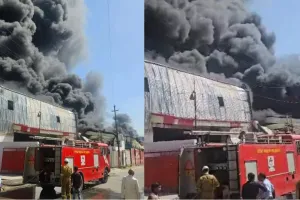 Noida fire incident: कूलर फैक्ट्री में लगी भीषण आग, आसमान में छाया धुंए का गुबार, दूर तलक दिखाई दे रहीं लपटें   
