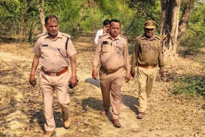 वन्यजीव की दस्तक : अमराई गांव में दिखा हिंसक जानवर, वन विभाग ने शुरू की कांबिंग 