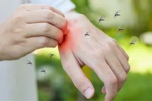 बदायूं में गंदगी और मच्छरों का फैलाव, मलेरिया विभाग की उदासीनता