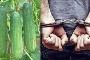 लखीमपुर खीरी: खीरा तोड़ने के आरोप में छह लोगों की पिटाई, पांच गिरफ्तार