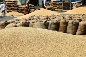 पीलीभीत में गेहूं खरीद की शुरुआत, केंद्र प्रभारियों को दिए पंजीकरण के निर्देश