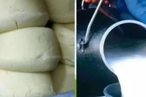 लखीमपुर खीरी: खाद्य सुरक्षा विभाग ने लिया छेना, मावा और देशी घी का सैंपल, जांच जारी