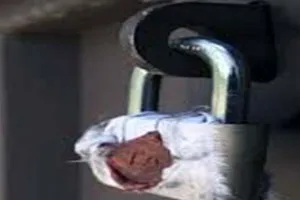 शाहजहांपुर में बकाएदारों के खिलाफ कार्रवाई, 26 दुकानों को नगर निगम ने किया सील