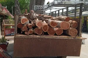 शाहजहांपुर में रेलवे के चोरी के पेड़ काटने वाले छह लोग गिरफ्तार, थाने पर हुआ हंगामा