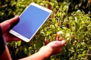 पीलीभीत में रबी फसलों का डिजिटल क्राप सर्वे संपन्न, 188 गांवों में बाकी