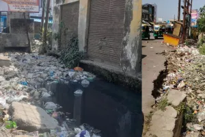 बदायूं में नगर पालिका की लापरवाही से नाले चोक, जलभराव और मच्छरों की बढ़ती समस्या