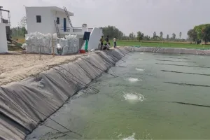 बदायूं: बायोफ्लॉक विधि से मछली पालन, मुनाफे का नया तरीक