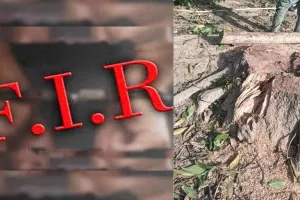 बदायूं में हरे पेड़ों के काटने वालों पर सख्त कार्रवाई, पुलिस ने दर्ज की FIR