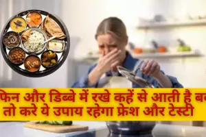 गर्मियों में जल्दी खराब हो जाता है खाना, टिफिन और डिब्बे में रखने से आती है बदबू, इस उपाय से खाना रहेगा फ्रेश और टेस्टी 
