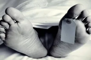 पिता का उपचार कराने एसटीएच गए युवक की सीढ़ी से गिरकर मौत  