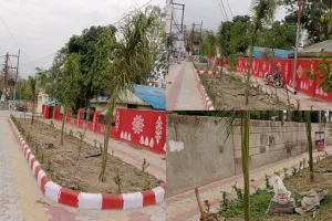 बोतल पाम, फायकस, ब्रश ट्री से हरा और सुंदर होगा हल्द्वानी