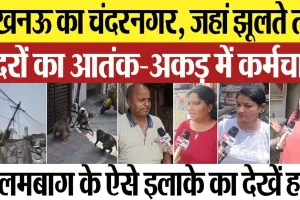 लखनऊः चंदरनगर में बंदर का आतंक, झूलते तार और अकड़ में कर्मचारी, देखें Video