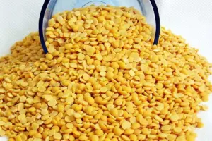 अरहर से मालामाल बाजार, चौतरफा आमद से दाल की कीमतें गिरीं