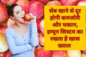 सेब खाने से दूर होगी कमजोरी और थकान, इम्यून सिस्टम का रखता है खास ख्याल, जाने इसके फायदे और नुकसान  