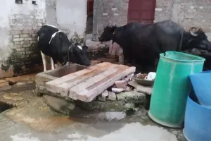 कासगंज: नहीं हुआ आदेश का पालन...कुआं से अतिक्रमण हटाने को दिया था तीन दिन का अल्टीमेटम