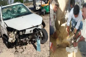 शाहजहांपुर : कार डिवाइडर से टकराई... दो लंगूरी बंदर घायल मिले, बाकी भाग गए