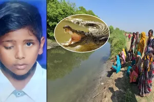 शाहजहंपुर: किशोर को निगल गया मगरमच्छ...दहशत का मंजर देख बड़ा भाई बेहोश