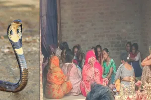 लखीमपुर खीरी: दो किसानों का काल बने सांप और सांड ! मौत के बाद मचा दोनों परिवारों में कोहराम