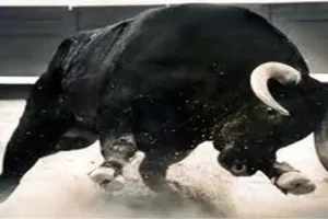 अमरोहा: आवारा सांड के हमले में होमगार्ड की मौत, ड्यूटी से लौटते समय हुई दर्दनाक घटना